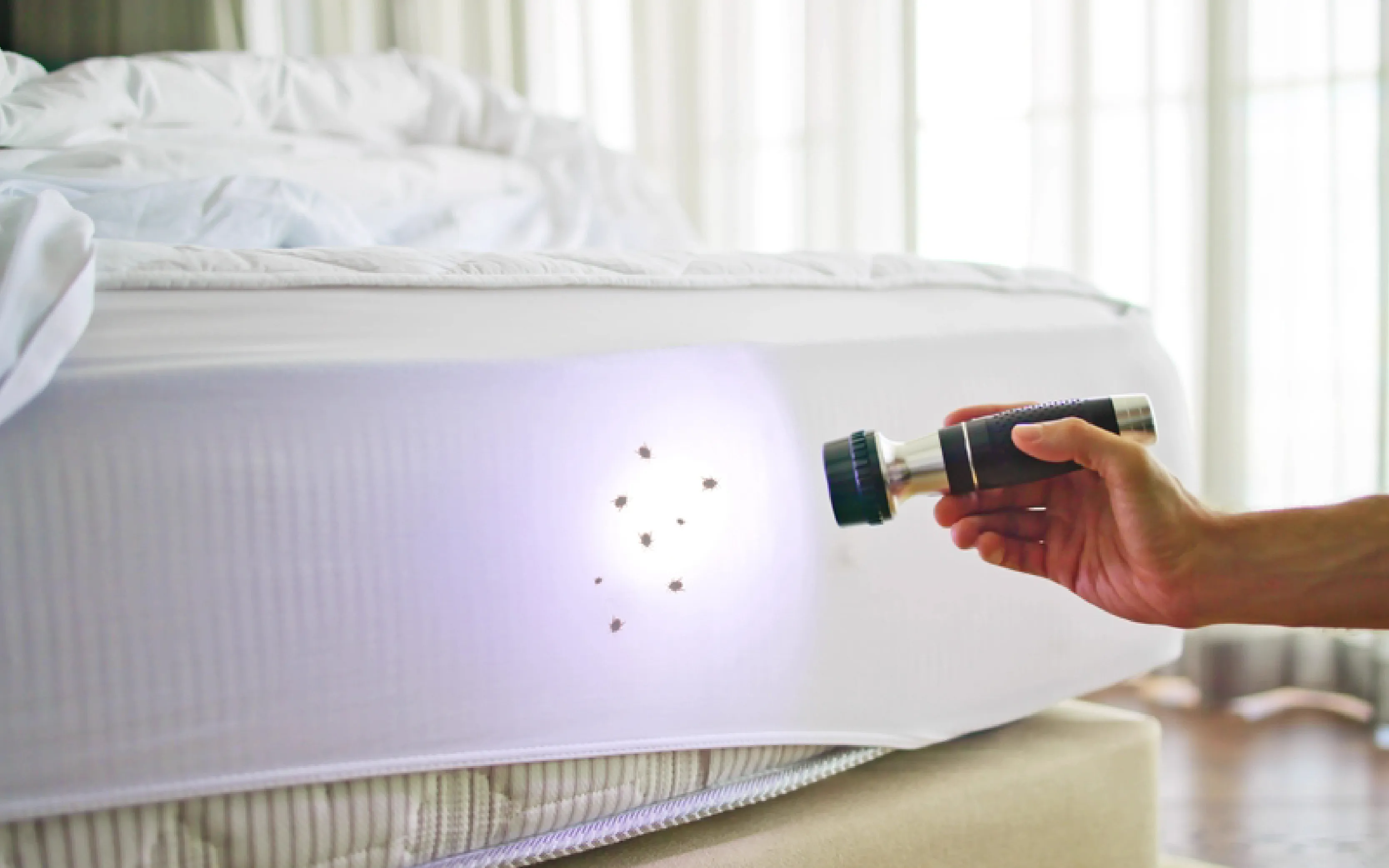 carpet cleaning in new york, carpet cleaning new york, carpet cleaners in new york, carpet cleaners in new york, commercial carpet cleaning, commercial carpet cleaning in new york, new york rug cleaners, rug cleaning services in new york, same day carpet cleaning, same day rug cleaning in new york